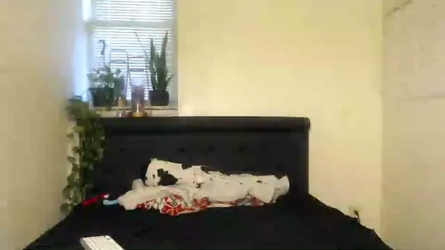 vixenpaisley2 online show from December 7, 3:04 am