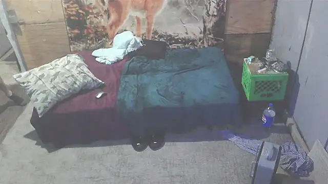 Smurfschmidt online show from January 7, 3:46 am