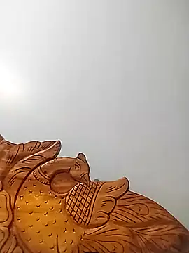 Snapshot of Bachuudaya chatting on November 25, 1:00 pm Bachuudaya online show from November 25, 1:00 pm