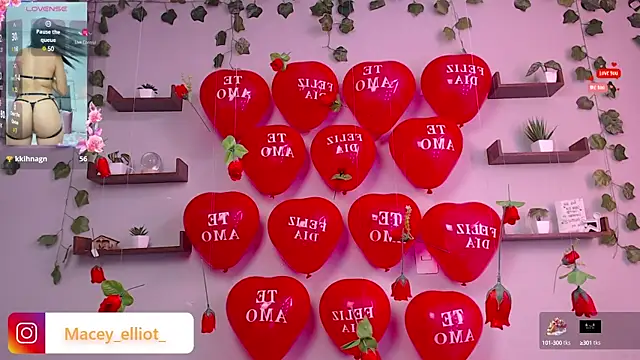 Snapshot of macey_elliot_ chatting on February 15, 2:55 pm macey elliot online show from February 15, 2:55 pm