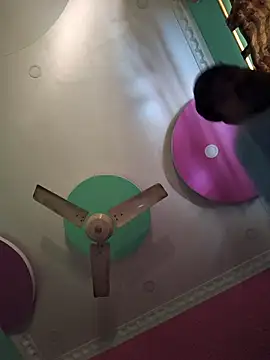 Dream kolkata online show from January 17, 4:50 am