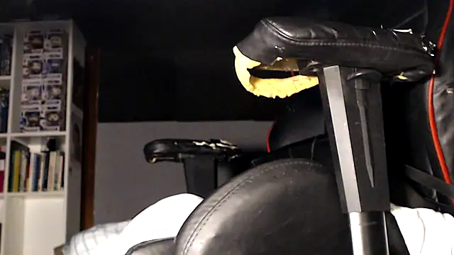 Snapshot of LapijARG7 chatting on November 21, 3:11 pm LapijARG7 online show from November 21, 3:11 pm