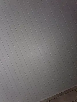 By Aninha online show from January 16, 5:55 am