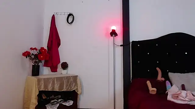 sirax66 online show from February 13, 3:50 am