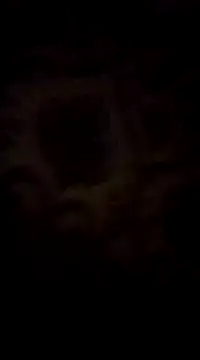 Snapshot of WreckedCrop chatting on March 2, 8:29 pm WreckedCrop online show from March 2, 8:29 pm