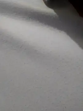  Miaaleon online show from November 16, 10:43 am