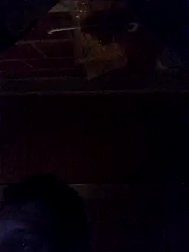 Snapshot of Elvergon3456 chatting on October 28, 4:49 am Elvergon3456 online show from October 28, 4:49 am