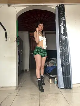  Artemisa X online show from April 15, 7:58 pm