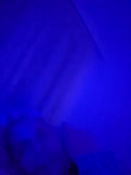 denisxlRo online show from March 16, 8:11 pm