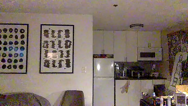 TheOnlyTwinTowers online show from April 13, 4:51 am