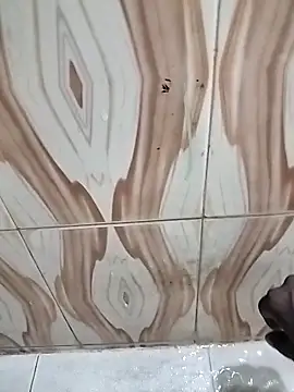 bas1cooks online show from November 1, 3:47 pm