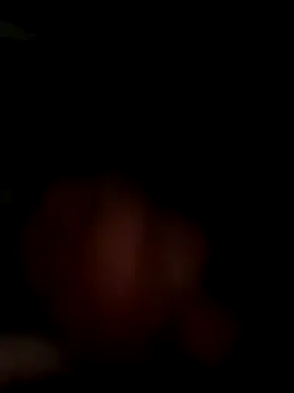 Snapshot of MynameisPaco chatting on November 11, 8:53 pm MynameisPaco online show from November 11, 8:53 pm