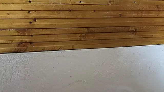 Snapshot of 00loret chatting on February 20, 3:30 pm 00loret online show from February 20, 3:30 pm