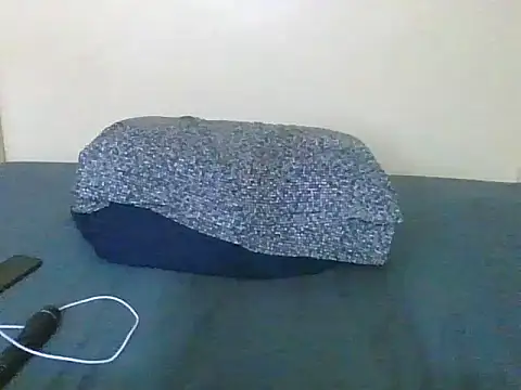 Snapshot of nisherjay chatting on April 25, 1:41 pm nisherjay online show from April 25, 1:41 pm