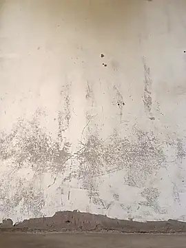 Yasha 14C Creator online show from November 8, 7:19 am