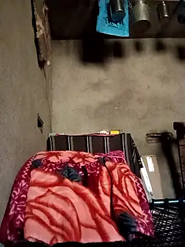 Yasha 14C Creator online show from January 11, 5:45 am