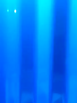 Dusto Meye online show from February 13, 5:42 pm