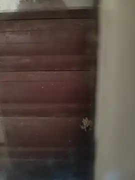 hardgetsex online show from October 4, 4:05 pm