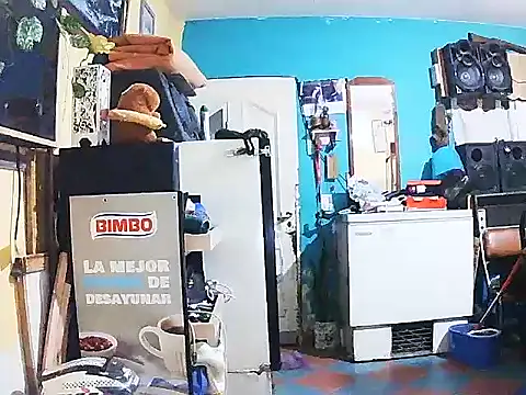 DiAntool online show from January 18, 5:44 am