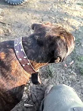 Snapshot of mitulik84 chatting on December 19, 11:50 am mitulik84 online show from December 19, 11:50 am