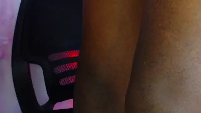 honkzone online show from April 1, 1:41 pm