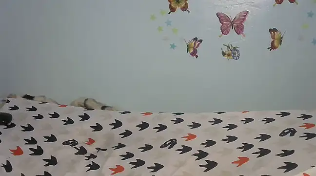 laetitia  online show from February 13, 6:38 pm