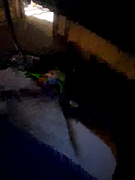 Snapshot of daddysmalldick502 chatting on November 4, 6:40 pm daddysmalldick502 online show from November 4, 6:40 pm