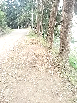 Demiansteven2 online show from March 13, 4:24 pm