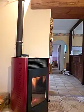 SpiceLea online show from March 3, 8:31 am