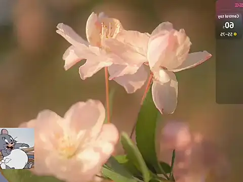 Snapshot of Lovensetest chatting on October 22, 7:19 am Lovensetest online show from October 22, 7:19 am