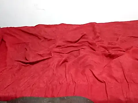 Snapshot of wel9238 chatting on March 1, 1:51 am wel9238 online show from March 1, 1:51 am