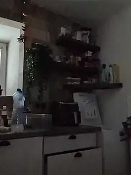 FENIX ZLA online show from November 27, 6:59 am