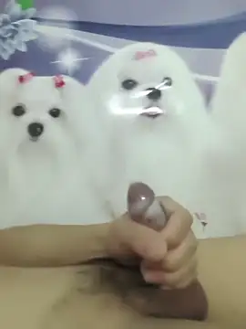 826687 online show from March 2, 1:40 pm