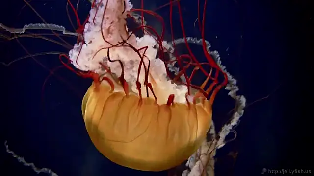 Snapshot of streamy_test13 chatting on February 3, 8:13 am streamy test13 online show from February 3, 8:13 am