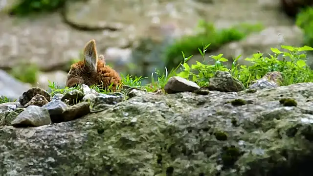 Snapshot of streamy_test13 chatting on February 19, 8:22 am streamy test13 online show from February 19, 8:22 am