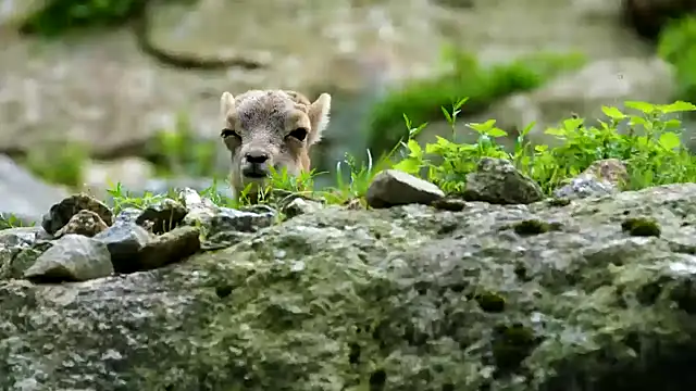 Snapshot of streamy_test13 chatting on February 21, 4:26 pm streamy test13 online show from February 21, 4:26 pm