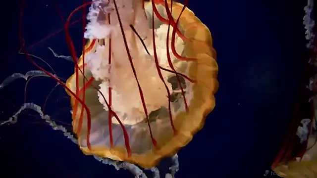 Snapshot of streamy_test13 chatting on October 2, 10:22 am streamy test13 online show from October 2, 10:22 am