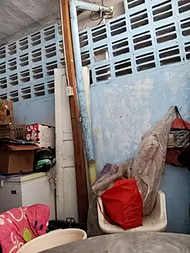 Snapshot of brigitht chatting on November 12, 5:02 pm brigitht online show from November 12, 5:02 pm