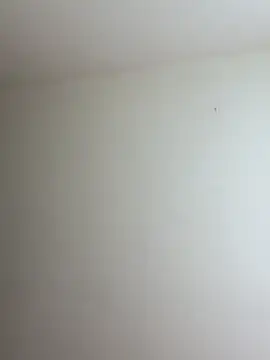 mikuru hara online show from April 4, 8:50 pm