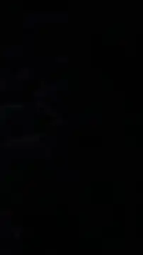 eupica1195 online show from November 30, 6:39 am