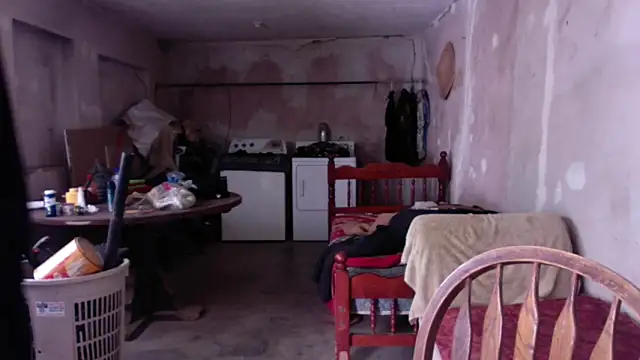 LoretoMx online show from November 17, 5:08 pm