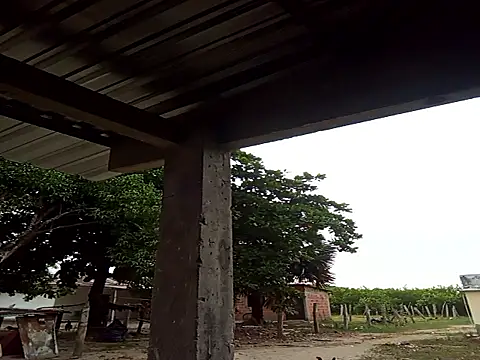 natally ross21 online show from December 21, 12:01 pm