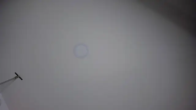 ChloeConnorr online show from December 28, 10:23 pm