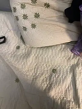 Snapshot of Ariel_Ari chatting on January 17, 8:34 am Ariel Ari online show from January 17, 8:34 am