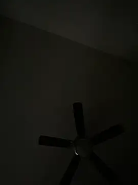 goldbuni online show from December 8, 1:36 pm