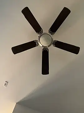 goldbuni online show from December 19, 11:03 pm