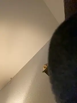 goldbuni online show from December 30, 1:25 pm