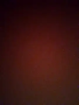 mendelicius online show from February 25, 2:33 pm