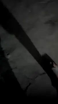 mendelicius online show from March 5, 3:24 am