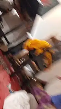 emma neko online show from November 22, 6:40 pm